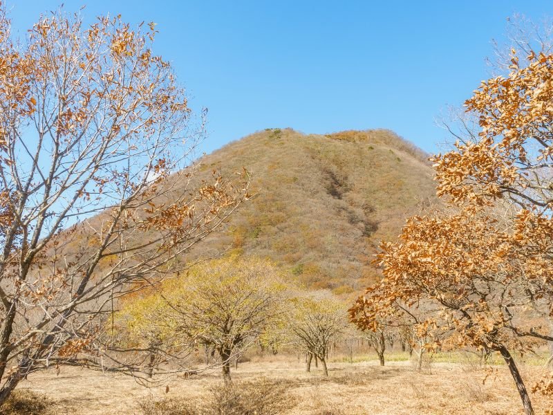 Mount Haruna framed by trees in Japan 