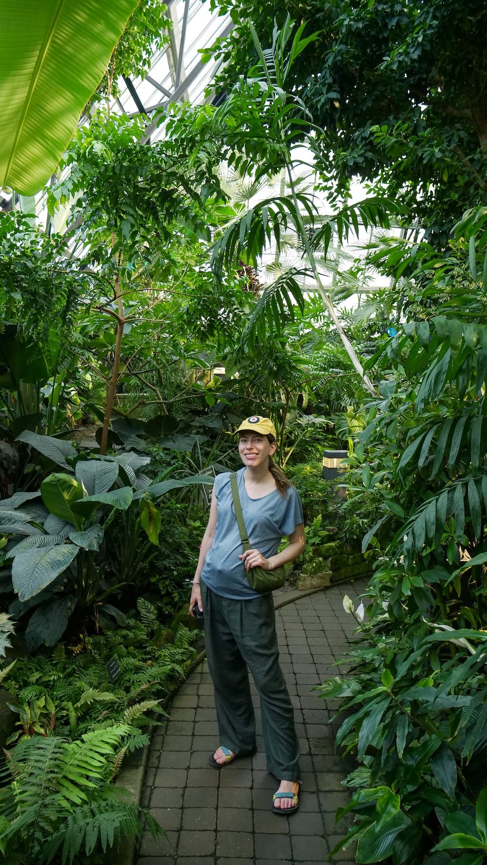 Audrey Bergner in the Tropical Pyramid at Muttart Conservatory, Edmonton, Alberta, Canada Audrey Bergner standing on a paved path among dense tropical plants inside the Muttart Conservatory in Edmonton, Alberta, Canada, beneath the glass framework of the pyramid.