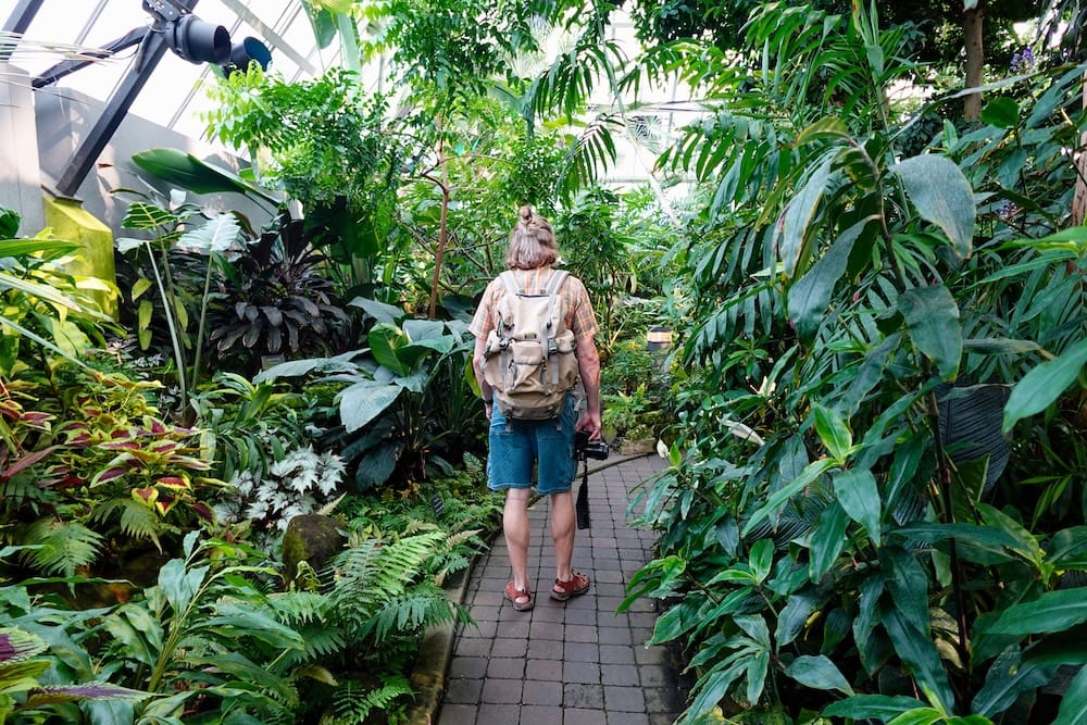 Samuel Jeffery walking along a narrow path inside the lush tropical pyramid at Muttart Conservatory in Edmonton, Alberta, Canada, surrounded by dense palms, ferns and broad-leaf plants.