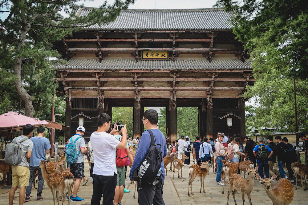 Nara Deer Park in Japan surrounded by tourists 