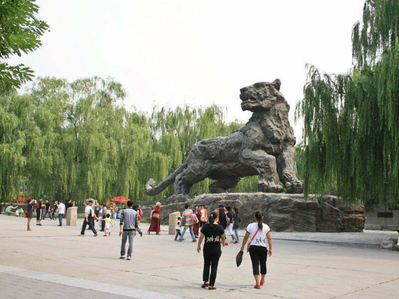 National Zoo in Beijing, China 