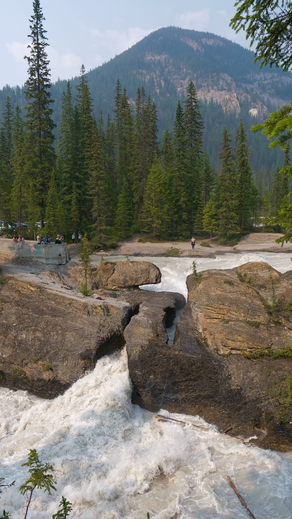 Natural Bridge over the Kicking Horse River in Yoho National Park, British Columbia, Canada Natural Bridge in Yoho National Park, British Columbia, Canada, shows the Kicking Horse River forcing through a narrow rock channel below a forested mountain backdrop, with a few visitors standing at the viewing area.