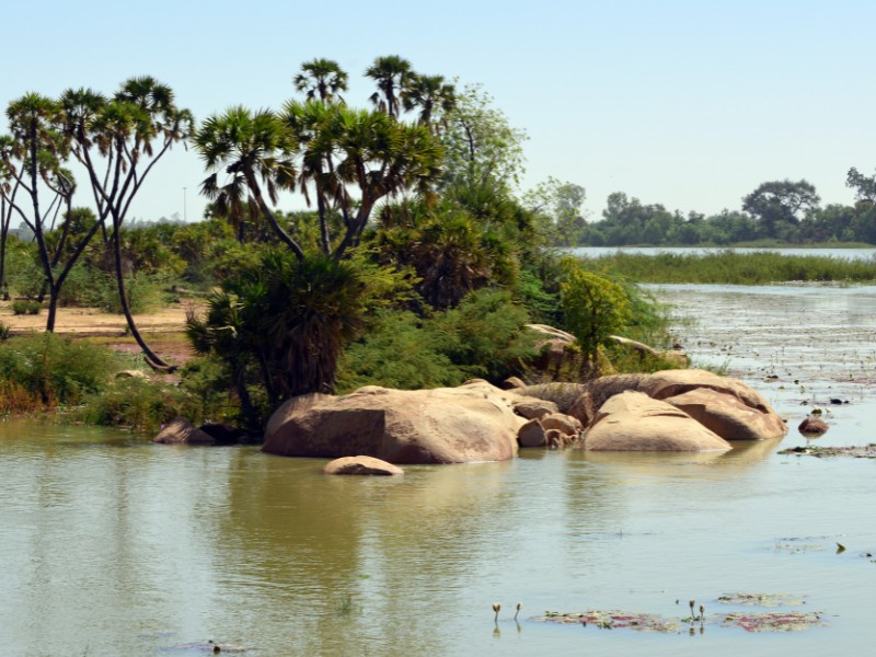 Niger river is a great day trip from Bamako 