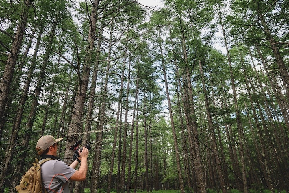 Nomadic Samuel breaking photography rules in Nikko, Japan 