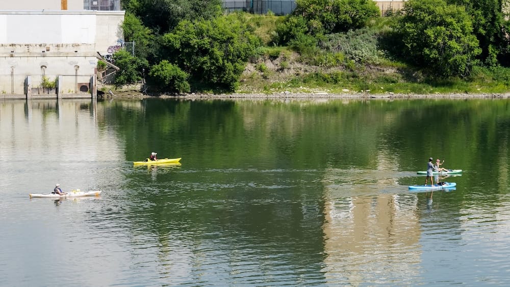 Kayak y stand up paddle en el río North Saskatchewan, Edmonton, Alberta, Canadá Personas en kayak y stand up paddle recorren el río North Saskatchewan en Edmonton, Alberta, Canadá, con las orillas verdes del River Valley reflejadas en el agua calma.