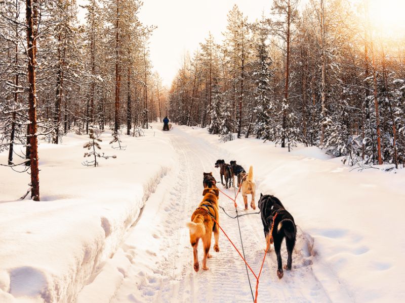 Three Reasons To Visit Norway In Winter: Epic Winter Getaway!