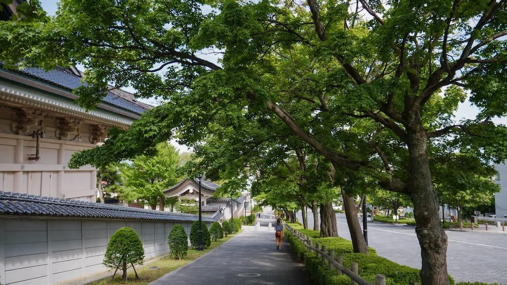 Audrey Bergner walks along a tree-lined path beside the Old Hakodate Branch Office of Hokkaido Government in Motomachi Park, Hakodate, Hokkaido, Japan, with historic architecture and landscaped grounds.