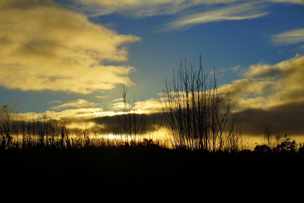 One last shot from Culloden before sunset as we left the premises to continue our tour across Scotland