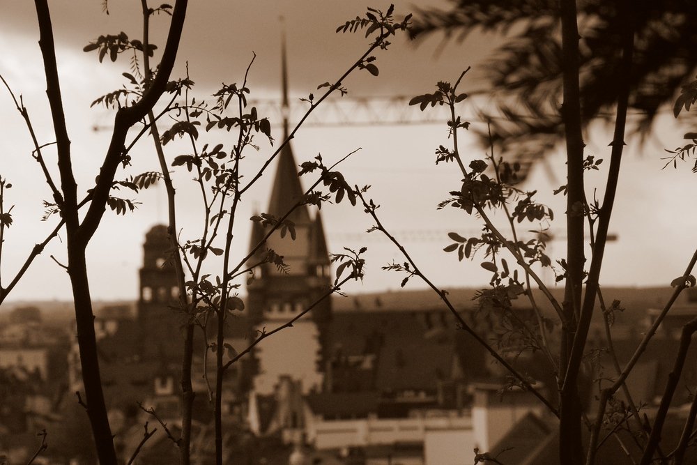 One last shot from Freiburg.  I really wish we had a bit more time to explore the city as it was certainly quite charming.