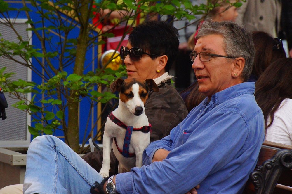 One of my favorite aspects of Europa-Park is that it is pet friendly and you'll see a lot of people with their dogs.  It is truly family friendly even for the pooch.