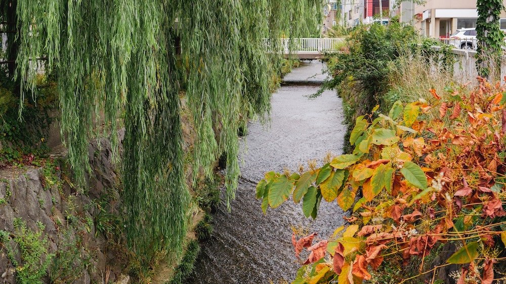 Otaru greenery and fall foliage in Japan 