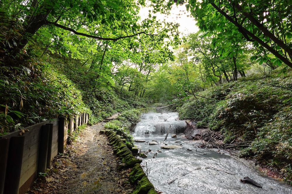 Forest Path Beside the Milky Oyunuma Hot-Spring River Near the Natural Footbath, Noboribetsu Onsen, Hokkaido, Japan A narrow forest path with a wooden retaining wall runs beside a milky hot-spring river and small cascade under a green canopy near the Oyunuma River Natural Footbath in Noboribetsu Onsen, Hokkaido, Japan.