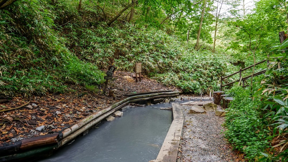 Log-lined hot-spring channel and forest path at the Oyunuma River Natural Footbath, Noboribetsu Onsen, Hokkaido, Japan A milky blue hot-spring stream runs through a log-lined channel beside a gravel path, with trail signs and dense bamboo grass in the forest at the Oyunuma River Natural Footbath, Noboribetsu Onsen, Hokkaido, Japan.