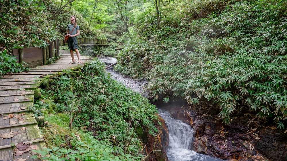 Stepped Wooden Boardwalk Beside the Steaming Oyunuma River Near the Natural Footbath, Noboribetsu Onsen – Audrey Bergner Audrey Bergner stands on a stepped wooden boardwalk scattered with leaves beside a steaming stream and small cascade near the Oyunuma River Natural Footbath in Noboribetsu Onsen, Hokkaido, Japan.