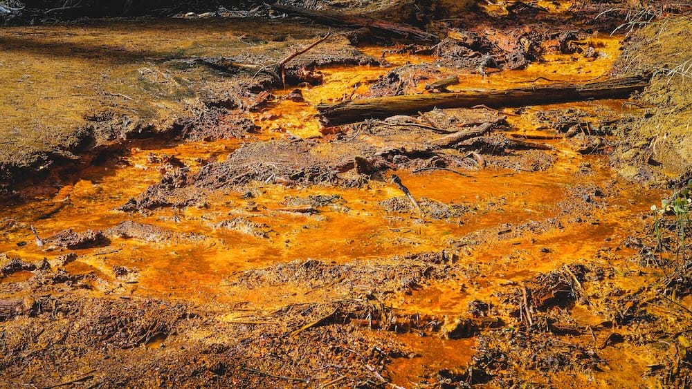Orange ochre and mineral water detail at the Paint Pots, Kootenay National Park, British Columbia, Canada Close-up of vivid orange ochre deposits and shallow mineral water at the Paint Pots in Kootenay National Park, British Columbia, Canada, with dark soil, roots, sticks and weathered wood across the surface.