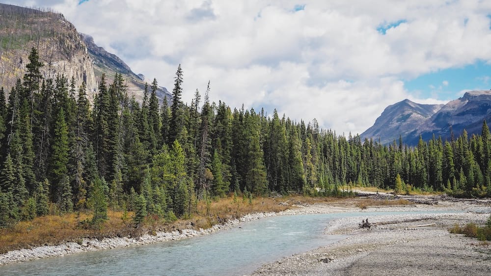 River and mountain scenery near the Paint Pots in Kootenay National Park, British Columbia, Canada A pale blue river curves through Kootenay National Park near the Paint Pots in British Columbia, Canada, bordered by rocky banks, dense evergreen forest and steep mountain slopes beneath a partly cloudy sky.
