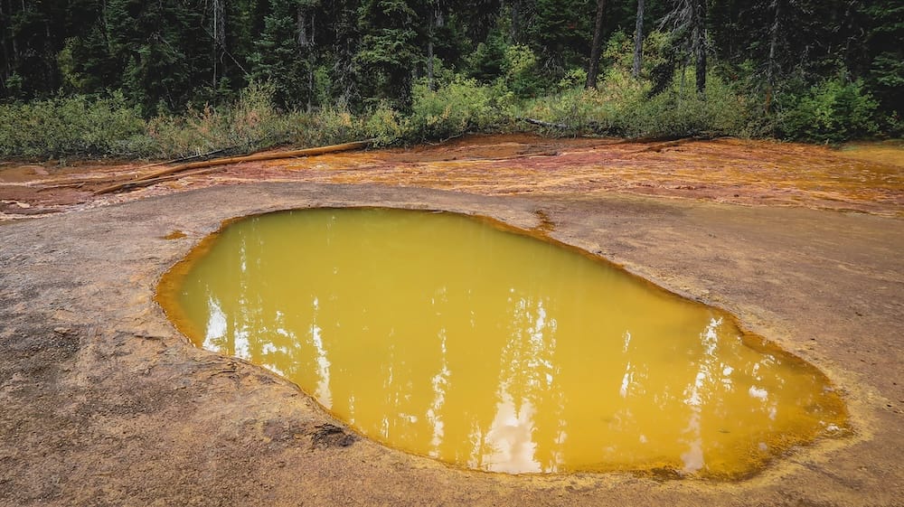 Yellow mineral pool and ochre basin at the Paint Pots, Kootenay National Park, British Columbia, Canada A yellow mineral pool at the Paint Pots in Kootenay National Park, British Columbia, Canada, sits within an ochre-stained basin surrounded by orange deposits, weathered earth and dense evergreen forest.