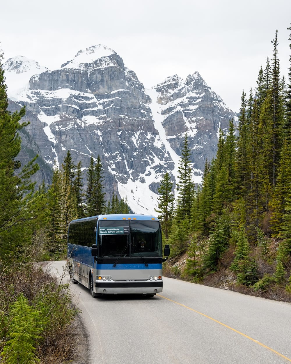 A Parks Canada shuttle bus signed for Lake Louise and Moraine Lake travels a winding mountain road in Banff National Park, Alberta, Canada, with snow-covered peaks rising behind the tree line.