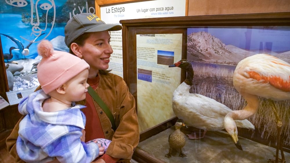 Audrey Bergner and Aurelia Jeffery at the Patagonia Museum in downtown Bariloche, Río Negro, Argentina Audrey Bergner holds Aurelia Jeffery beside Patagonian bird exhibits inside the Patagonia Museum in downtown Bariloche, Río Negro, Argentina, with flamingo and waterfowl displays visible behind them.