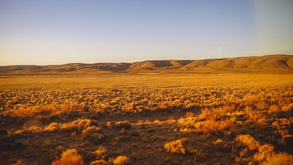 Golden hour light over the Patagonian steppe in Río Negro, Argentina, with low shrubs, rolling hills, and railway fencing illustrating the dry, wind-exposed landscape shaped by the Andes rain shadow effect.