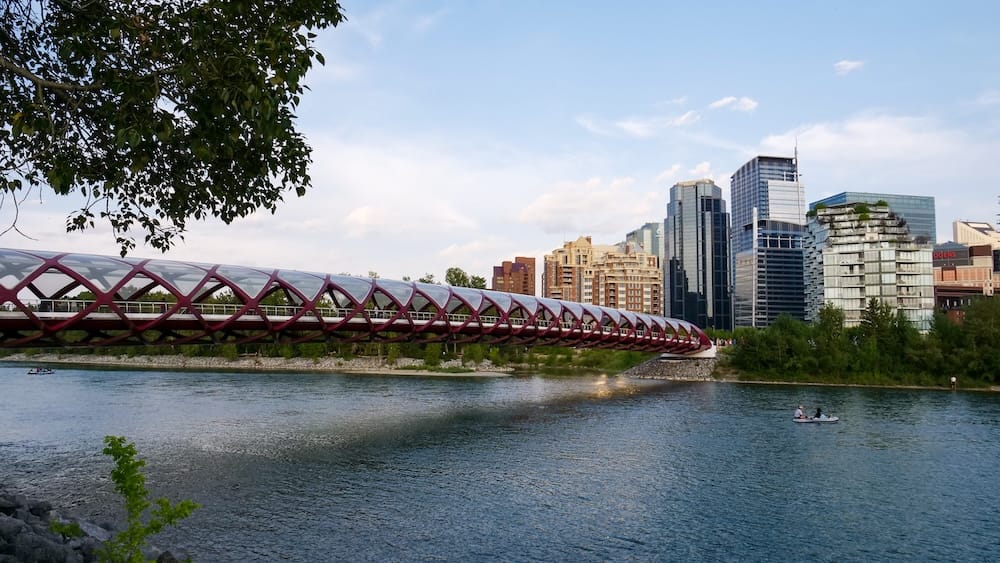 Peace Bridge cruza el Bow River en Calgary, Alberta, Canadá, con su estructura tubular roja apuntando hacia los edificios del centro mientras varias personas reman sobre el agua en una tarde de verano.