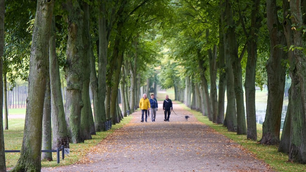 Pedestrians enjoying green spaces and trees in Schwerin, Germany 