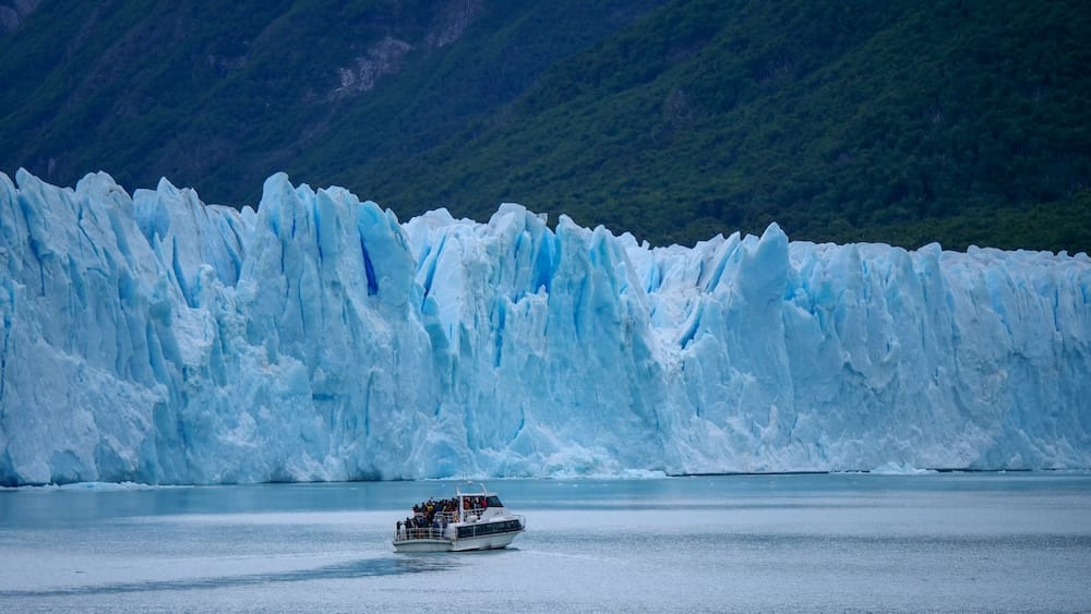 Tour boat approaching the massive Perito Moreno Glacier near El Calafate, Patagonia, Argentina A sightseeing boat carries tourists across the lake beneath the towering blue ice wall of Perito Moreno Glacier near El Calafate in Santa Cruz, Patagonia, Argentina, with forested mountains behind.