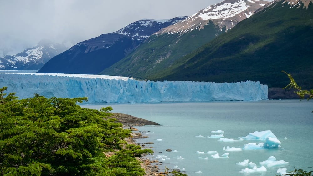 Perito Moreno Glacier ice front and mountain scenery near El Calafate, Santa Cruz, Patagonia, Argentina The blue ice front of Perito Moreno Glacier stretches across a pale glacial lake, framed by green forest, floating ice fragments and snow-streaked mountains in Santa Cruz, Patagonia, Argentina.