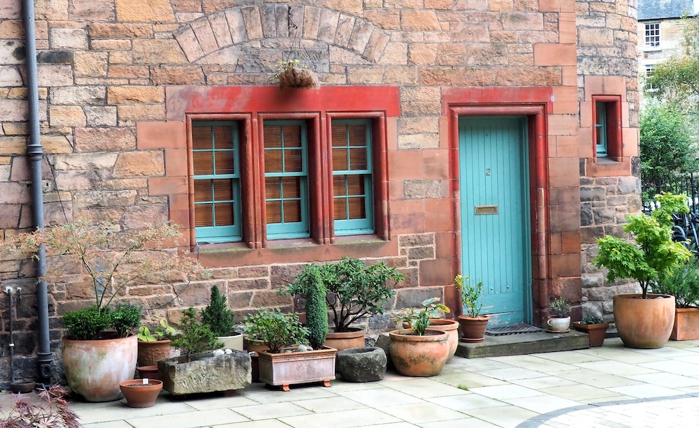 Plants outside of house in Edinburgh, Scotland 