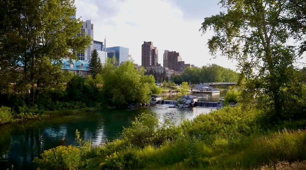 Prince’s Island Park and Bow River with downtown Calgary skyline in Alberta, Canada Prince’s Island Park in Calgary, Alberta, Canada, with lush summer greenery along the Bow River, a small cascade in the water and downtown buildings rising behind the trees.