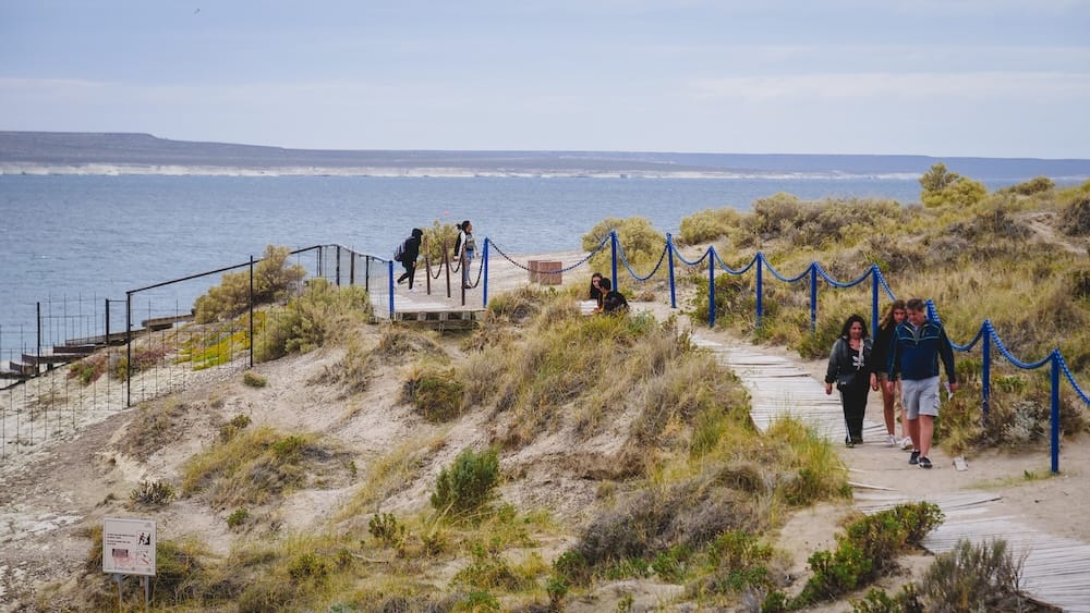 Wooden boardwalk through coastal sand dunes in Puerto Madryn, Patagonia, overlooking the Atlantic Ocean, where visitors explore landscapes first encountered by Welsh settlers arriving to build new lives in southern Argentina.