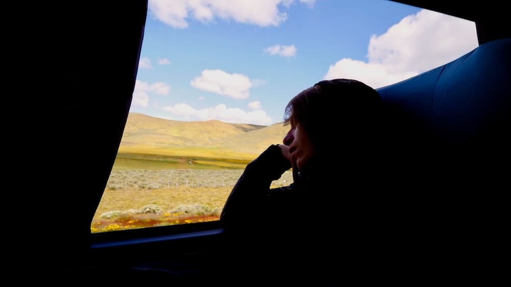 Punta Arenas to Ushuaia Border Crossing — Chilean and Argentine Patagonia | Audrey Bergner on the Bus Audrey Bergner rests her head on her hand, silhouetted against a bus window, looking out at the open steppe during the Punta Arenas to Ushuaia border crossing through Chilean and Argentine Patagonia.