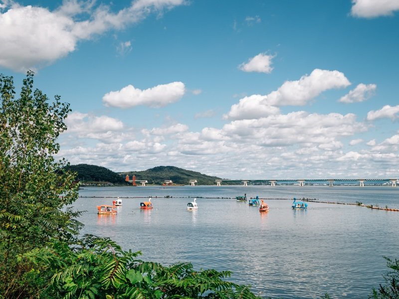 Pyeongtaek lake views framed by greenery 