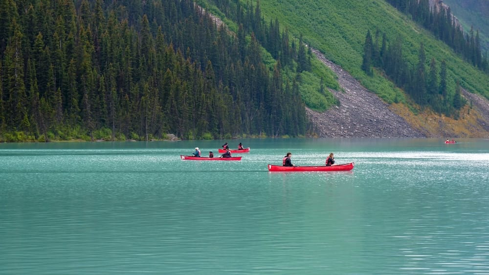 Several red canoes with paddlers cross the turquoise water of Lake Louise, forested mountainside rising behind them, Banff National Park, Alberta, Canada.