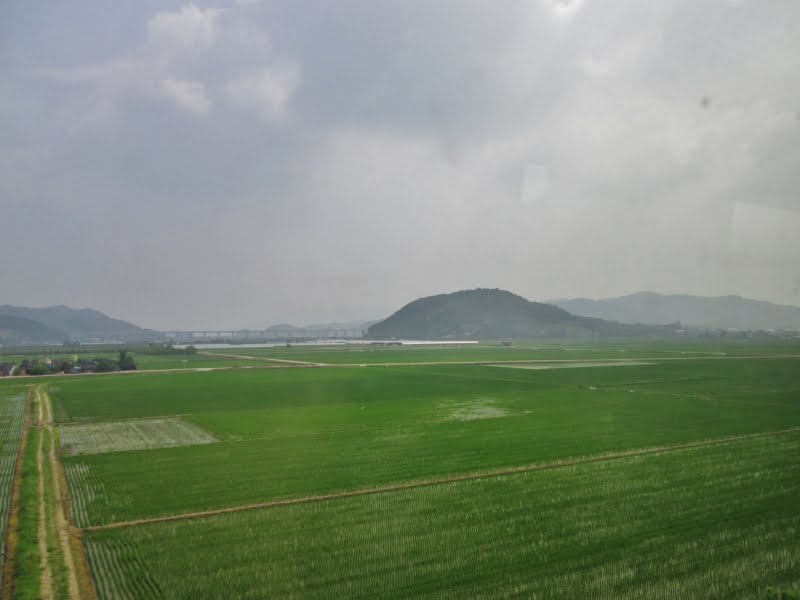 Rice fields with a mountain in the background at Daecheon Beach in Korea