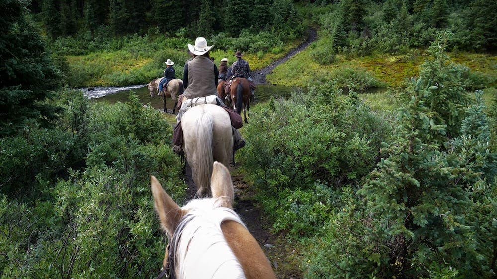 Jinetes cruzando arroyo, sendero boscoso, Banff Trail Riders, Parque Nacional Banff, Alberta, Canadá Un grupo de jinetes a caballo cruza un arroyo poco profundo por un sendero boscoso durante una excursión a caballo por el interior con Banff Trail Riders en el Parque Nacional Banff, Alberta, Canadá.