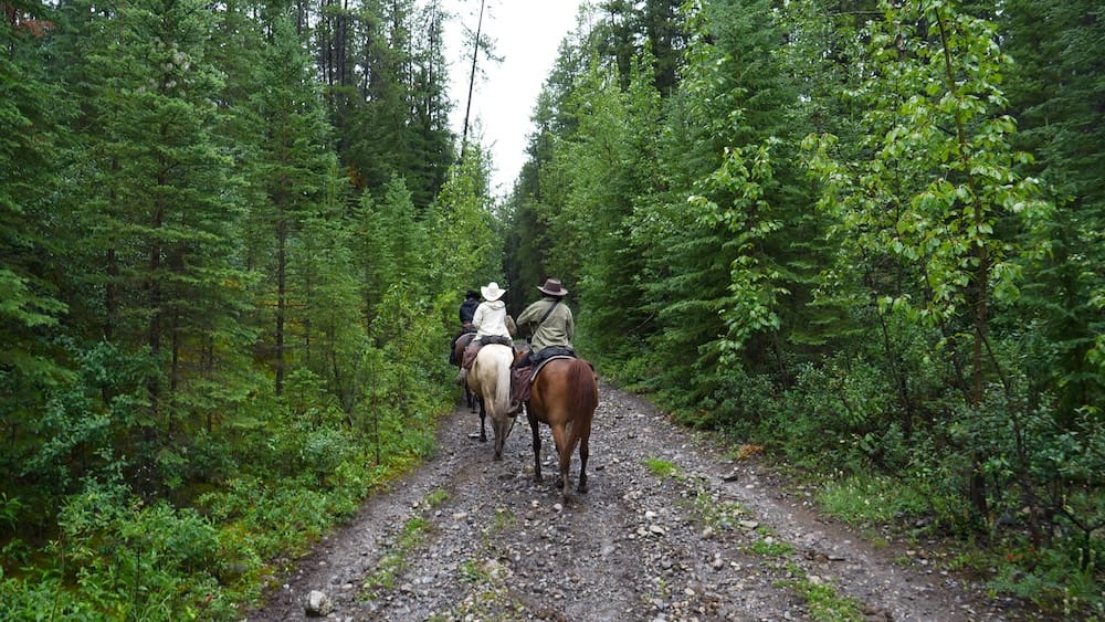 Sendero de ripio fácil, cerca de Banff, Alberta, Canadá Jinetes a caballo siguen un sendero de ripio ancho y fácil a través del bosque cerca del pueblo de Banff, Alberta, Canadá.