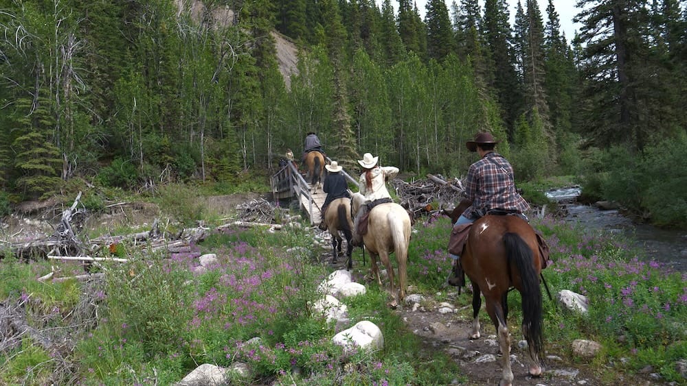 Jinetes en caballos de varios tamaños, sendero boscoso, Parque Nacional Banff, Alberta, Canadá Jinetes en caballos de diferentes tamaños cruzan un puente de madera por un sendero boscoso cerca de un arroyo en el Parque Nacional Banff, Alberta, Canadá, durante una cabalgata guiada.