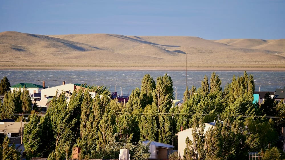 Wind-bent poplar trees and a sunlit estuary in Río Gallegos, Santa Cruz, showing the fierce Patagonian gusts that can quickly reshape travel plans in southern Argentina.