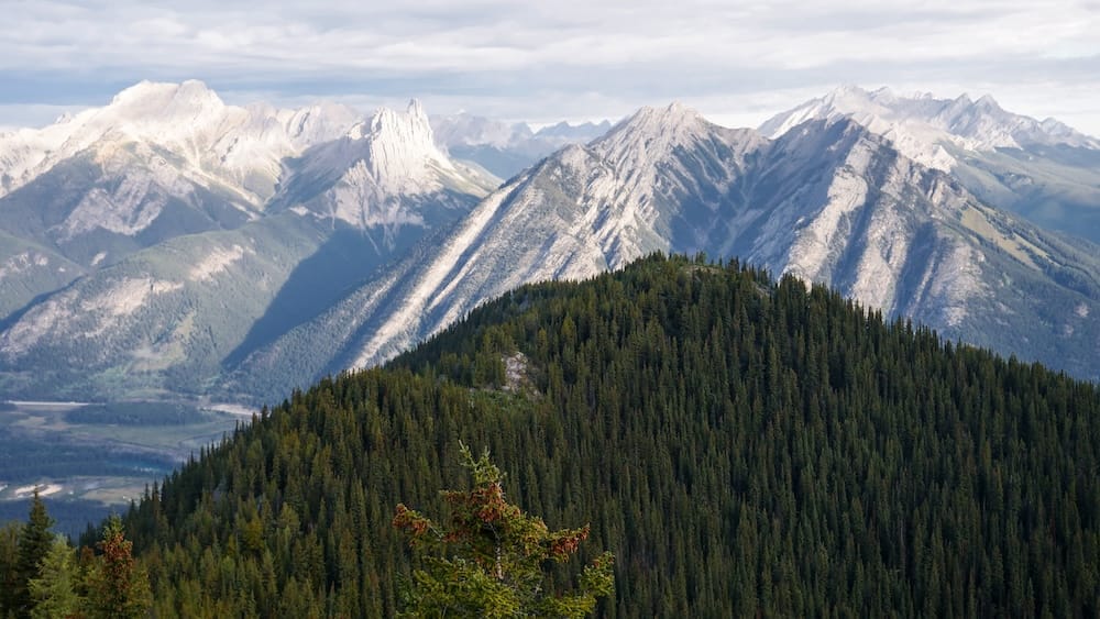Panoramic mountain range view from the Banff Gondola summit, Sulphur Mountain, Banff, Alberta, Canada A sweeping panorama of jagged, partly snow-capped Rocky Mountain ranges stretches to the horizon beyond a forested ridge, seen from the Banff Gondola summit on Sulphur Mountain, Alberta, Canada.