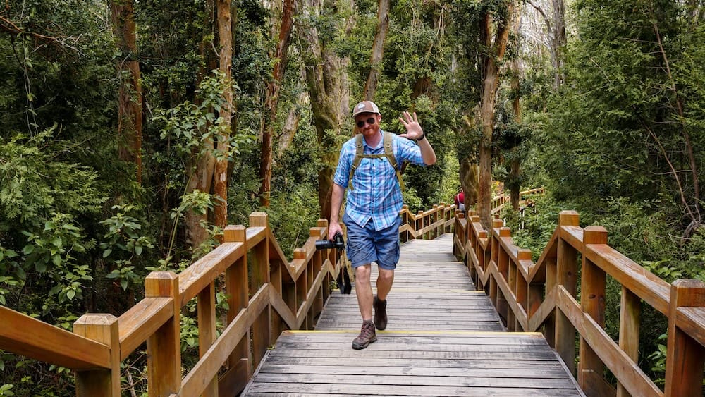Wooden boardwalk through the dense Arrayanes Forest near Villa La Angostura, where a distracted hiking loop became a classic Patagonia navigation mistake with Samuel Jeffery.