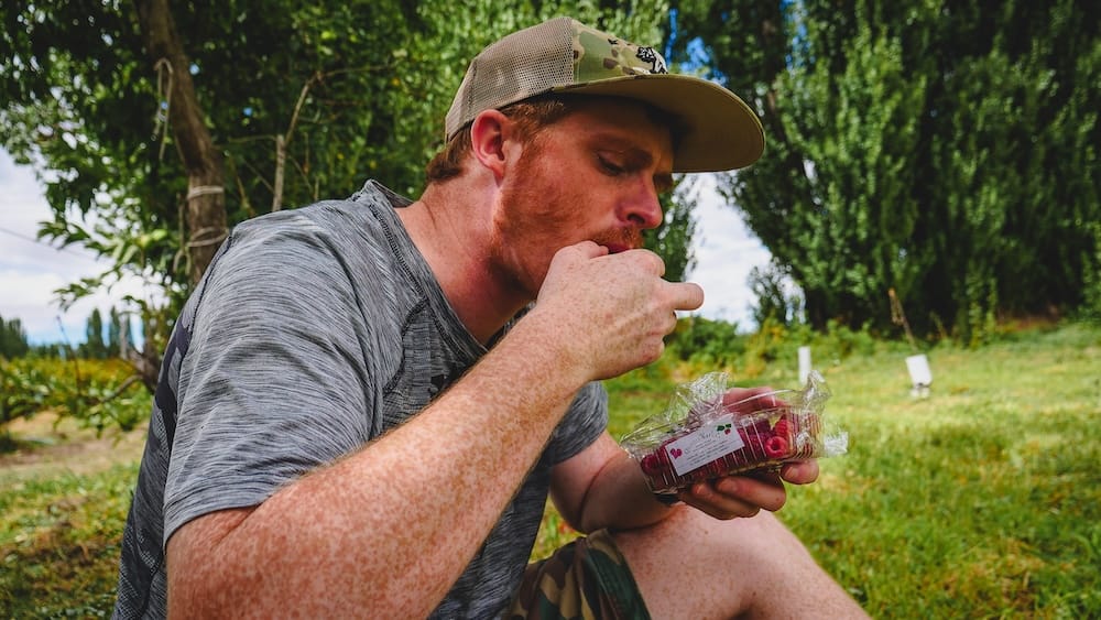 Samuel Jeffery raspberries Quintas Narlú Gaiman Patagonia orchard fresh fruit experience Argentina Samuel Jeffery eating fresh raspberries at Quintas Narlú orchard in Gaiman Patagonia Argentina, capturing a relaxed farm experience with locally grown fruit and showcasing a more authentic alternative to traditional Welsh tea houses