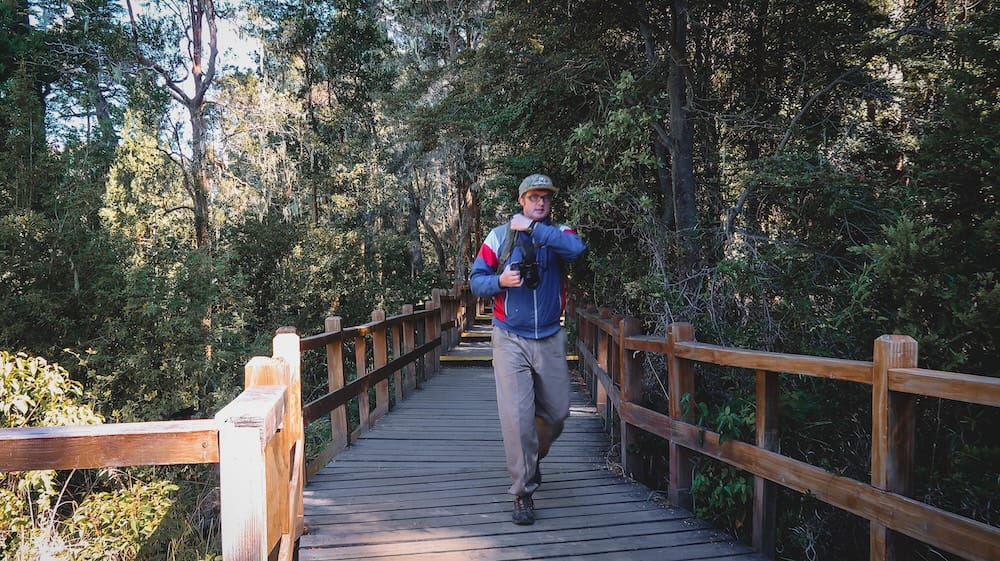 Wooden boardwalk forest trail near Villa La Angostura, Neuquén, Patagonia, Argentina Samuel Jeffery walks along an elevated wooden boardwalk trail through dense native forest near Villa La Angostura, Neuquén, Patagonia, Argentina, with a camera slung over his shoulder.