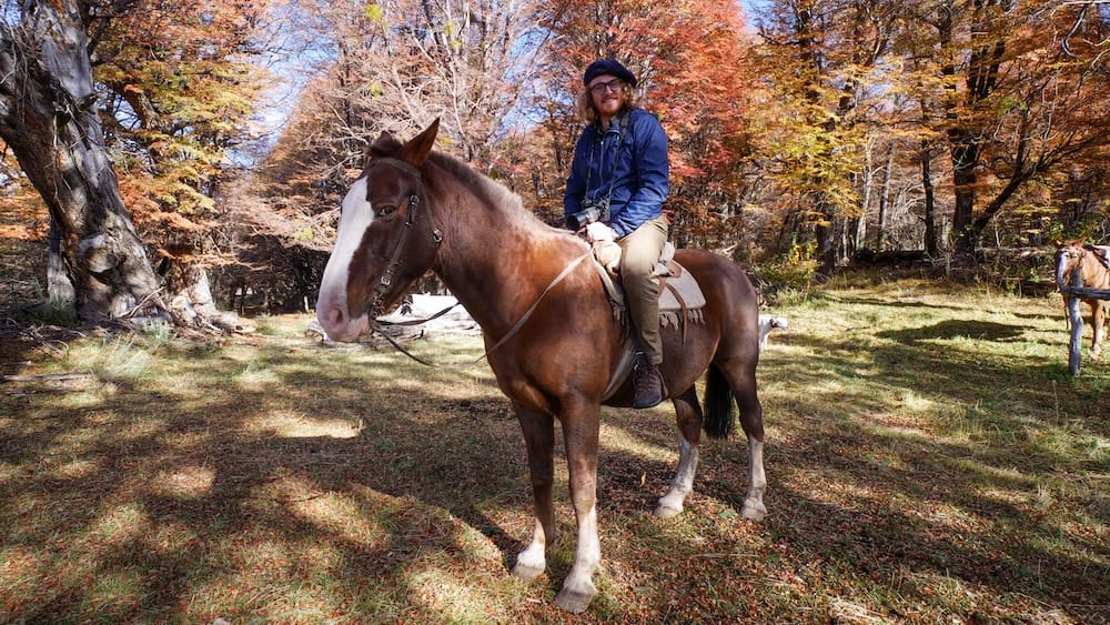 Samuel Jeffery horseback riding through autumn forest near Esquel in Chubut, Patagonia, Argentina Samuel Jeffery sits on a brown horse in a sunlit autumn forest near Esquel, surrounded by red, orange and golden foliage in Chubut, Patagonia, Argentina.