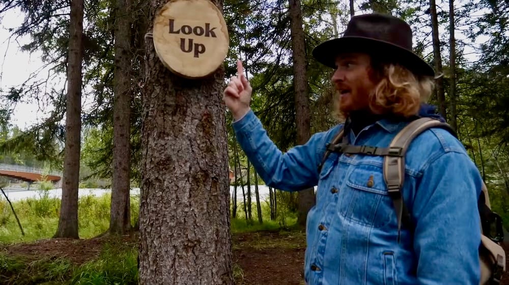 "Look Up" trail marker on the Art in Nature Trail, Banff, Alberta, Canada Samuel Jeffery points up at a small wooden "Look Up" sign nailed to a tree trunk along the Art in Nature Trail in Banff, Alberta, Canada, with a pedestrian bridge visible over the river behind him.