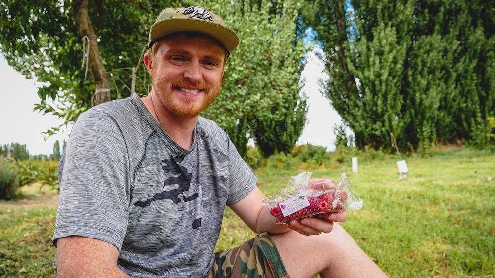 Samuel Jeffery Eating Fresh Raspberries at Narlú Farm Gaiman Patagonia Orchard Experience Argentina Samuel Jeffery enjoying fresh raspberries at Narlú Farm in Gaiman Chubut, highlighting Patagonia’s fertile orchard landscapes where locally grown berries offer a lighter, natural contrast to the region’s rich baked goods and traditional desserts.