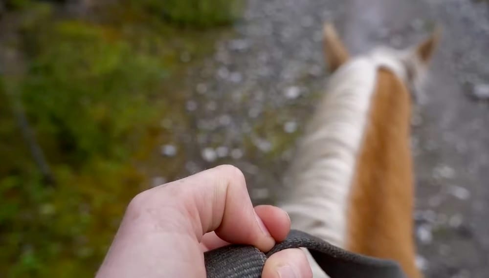 Samuel Jeffery’s hand holds the reins while riding Hollywood through Banff National Park, Alberta, Canada, with the horse’s mane and ears visible ahead on the gravel trail.