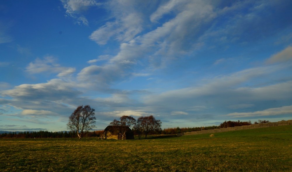 Scenic views from Culloden featuring trees off in the distance and dramatic sky