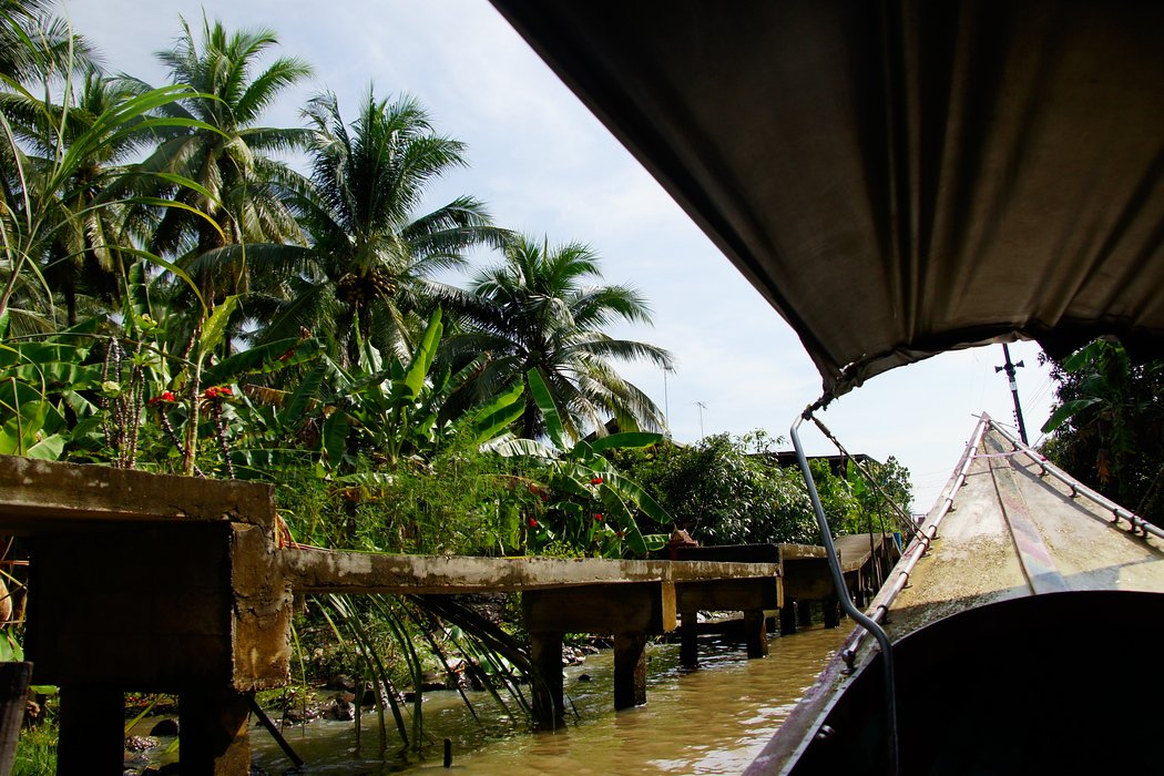 Scenic views from our longboat of lush green vegetation and murky brown waters prior to reaching the Thai floating market in Bangkok, Thailand 