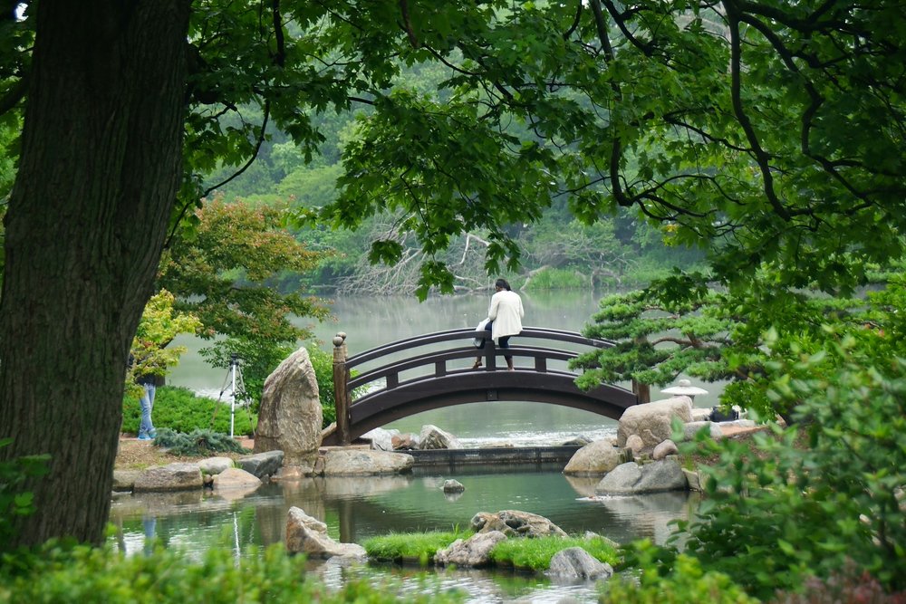 Scenic views from the Osaka Garden located on Chicago's South Side of the city with lush greenery and distinct bridge